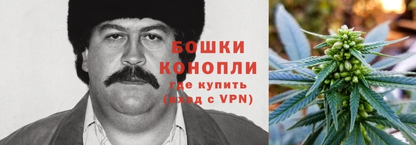 мяу мяу кристалл Гусь-Хрустальный