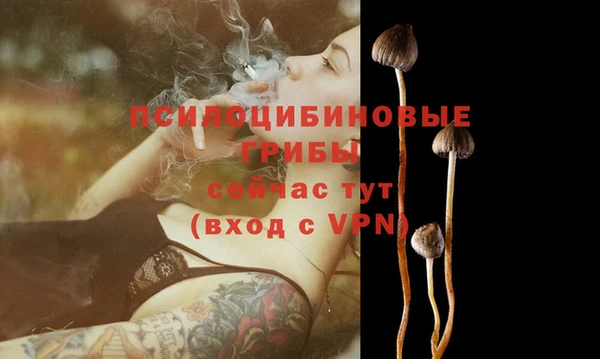 мяу мяу кристалл Гусь-Хрустальный