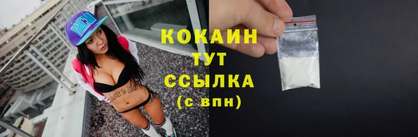 МДПВ Гусев