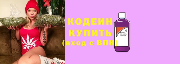 МДПВ Гусев