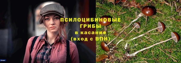 МДПВ Гусев