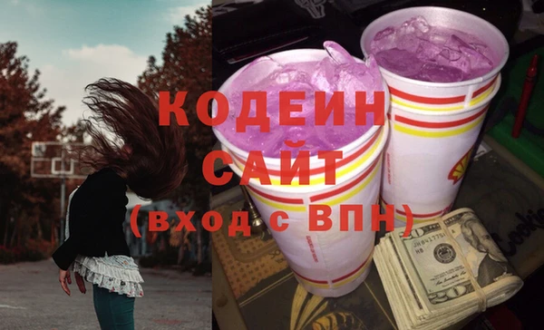 МДПВ Гусев